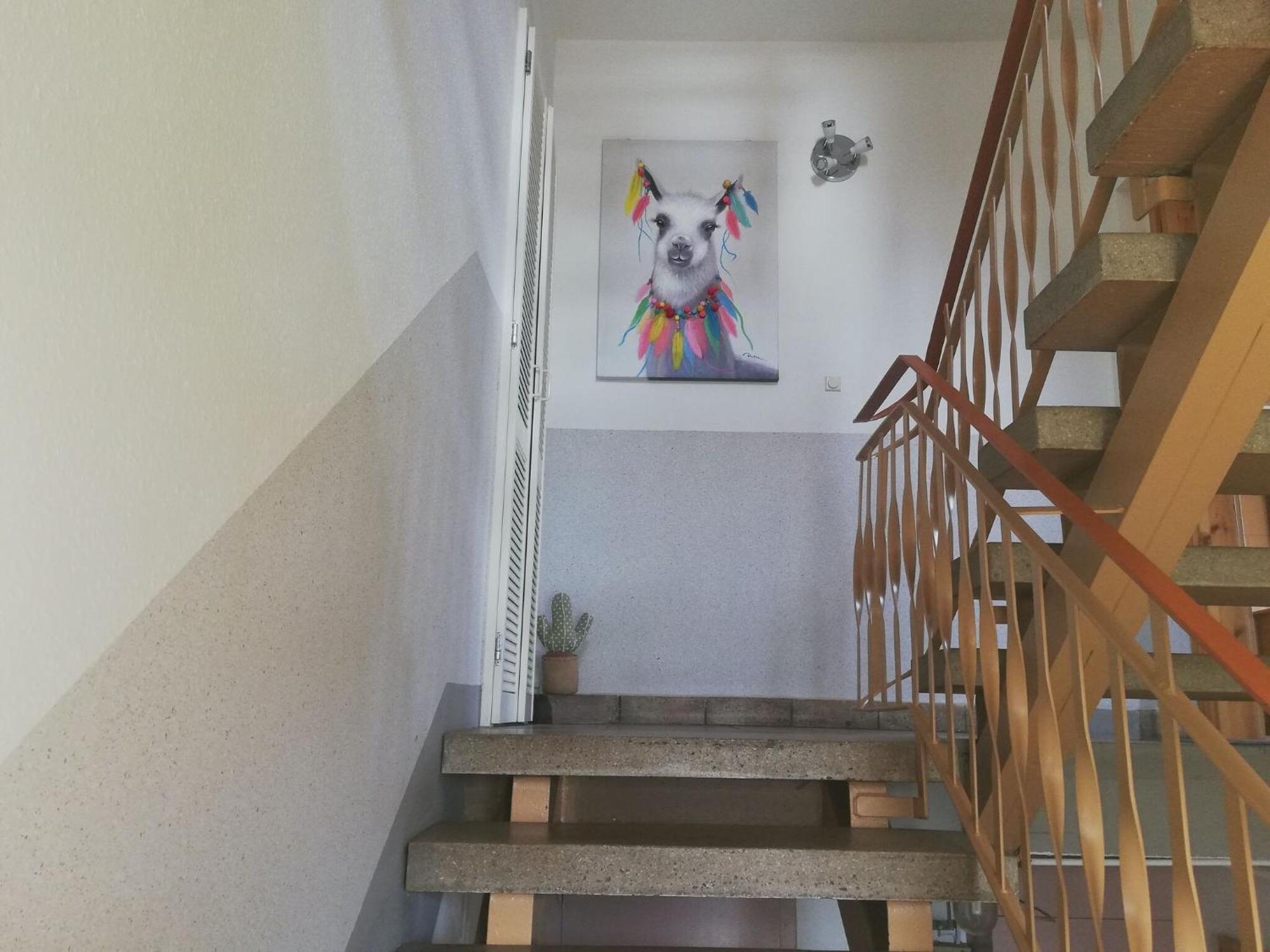 Apartment With Panoramic View Brotterode Εξωτερικό φωτογραφία